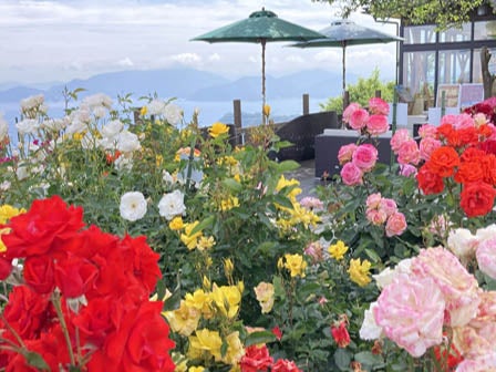 中部発 日帰り 展望リフト・クルーズ乗船・年縞ガイド見学付!三つの見方で学ぶ三方五湖!2